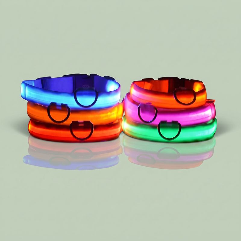 Studio photo of NightPaw — LED Glow-in-the-Dark Nylon Dog Safety Collar in Edit: Resize the entire canvas to a 1024x1024 …