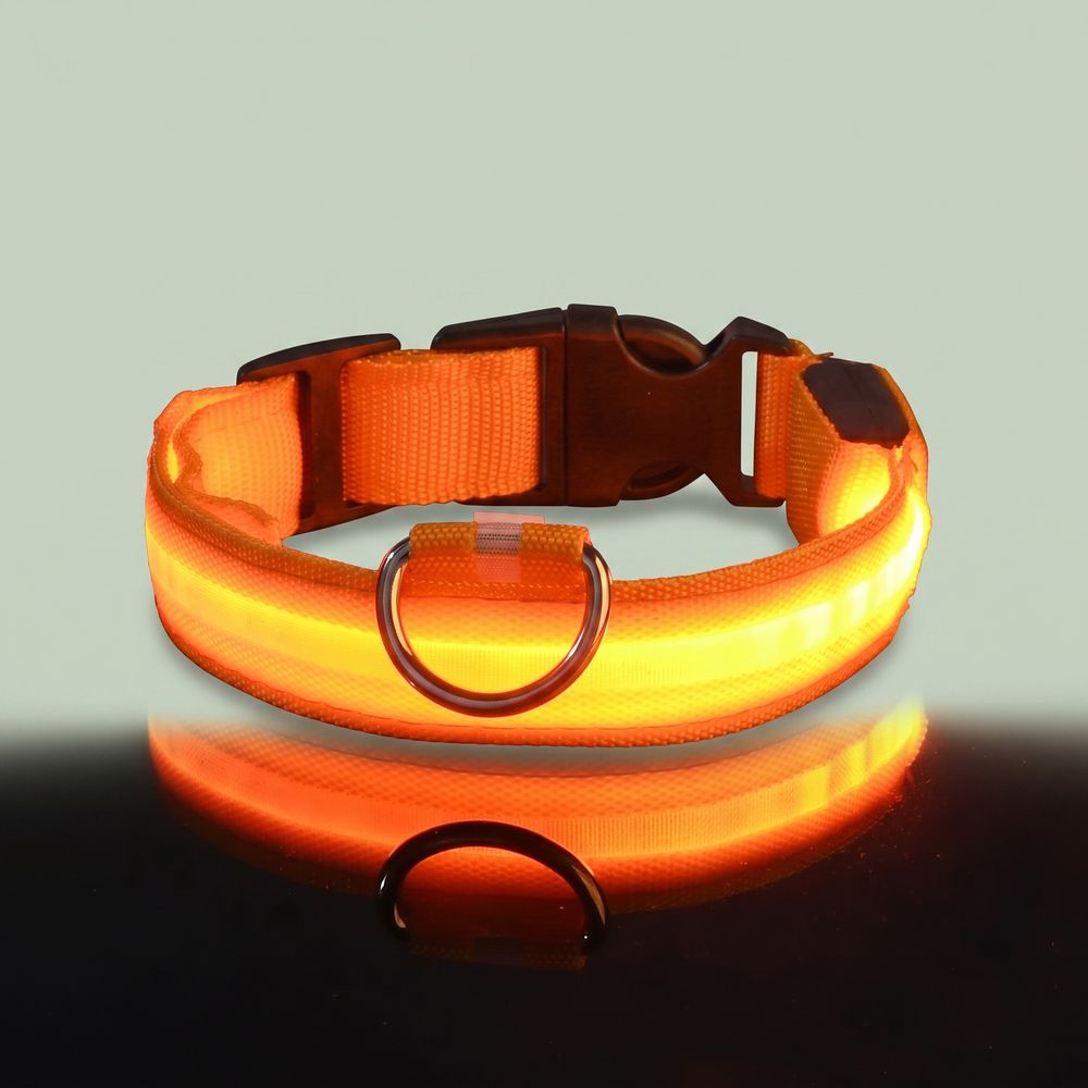 Studio photo of NightPaw — LED Glow-in-the-Dark Nylon Dog Safety Collar in Edit: Resize the entire canvas to a 1024x1024 …
